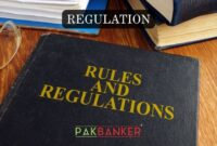 SBP Launches Cyber Shield Strategy to Strengthen Cyber Resilience of Banks and Financial Institutions